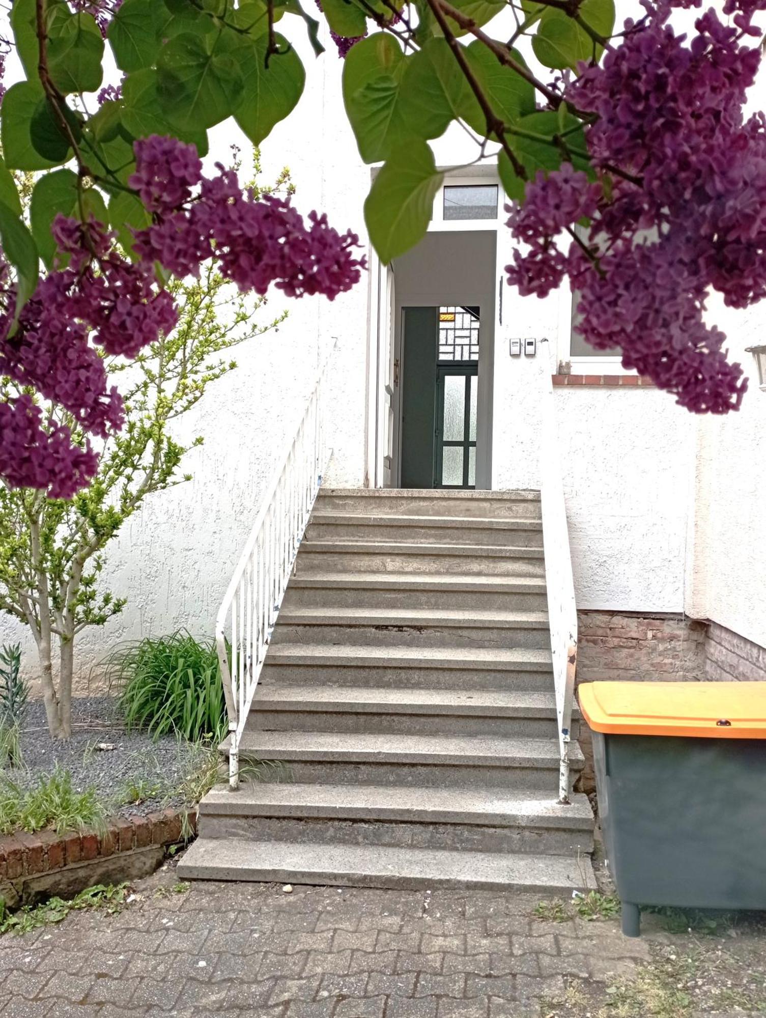 Ferienwohnungen Grosse Luise Saarbrücken Exterior foto